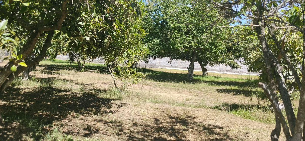 Tumbaco, Sector Hilacril, Vendo Terr. 10.600 m², Ideal Proyecto Inmobiliario Irm Cos Pb. 35%, 2 Pisos — imagen 6