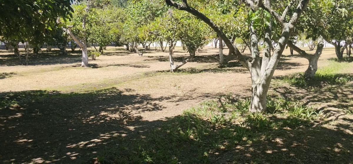 Tumbaco, Sector Hilacril, Vendo Terr. 10.600 m², Ideal Proyecto Inmobiliario Irm Cos Pb. 35%, 2 Pisos — imagen 4