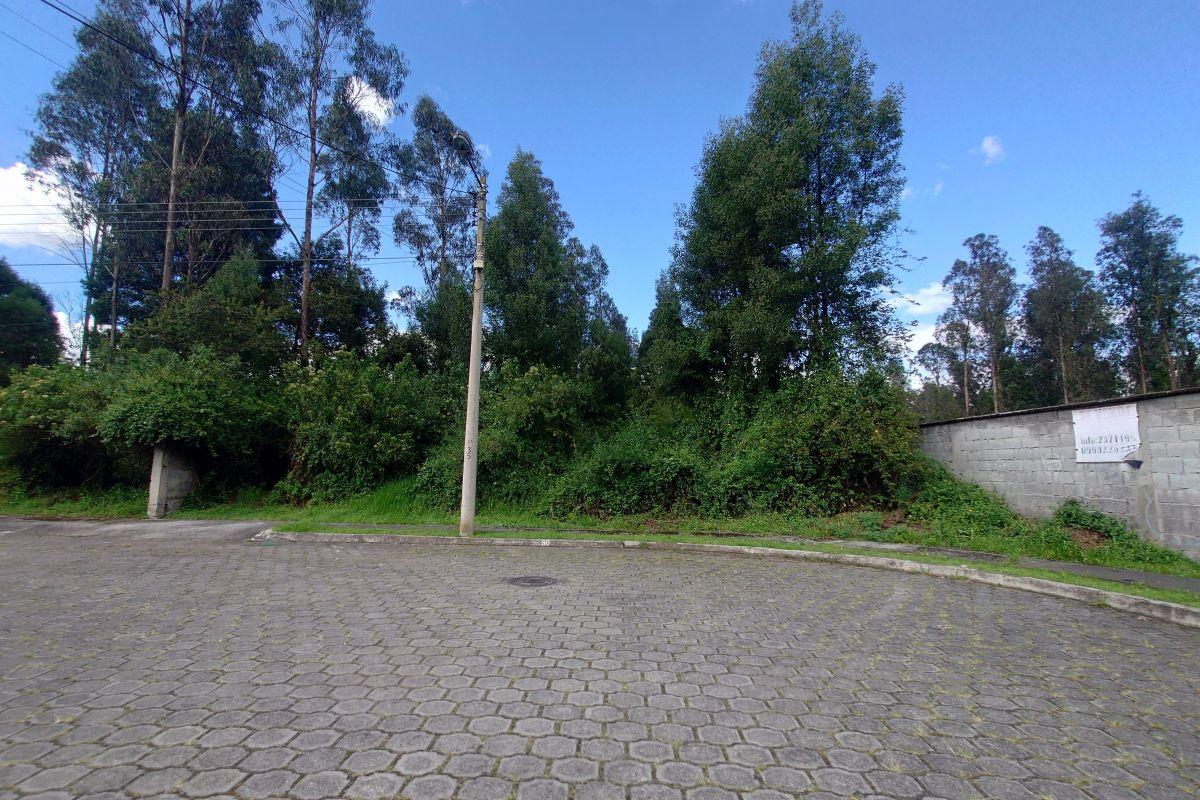 Conocoto. Terreno en Urbanización de Escuela Politécnica Nacional — imagen 8