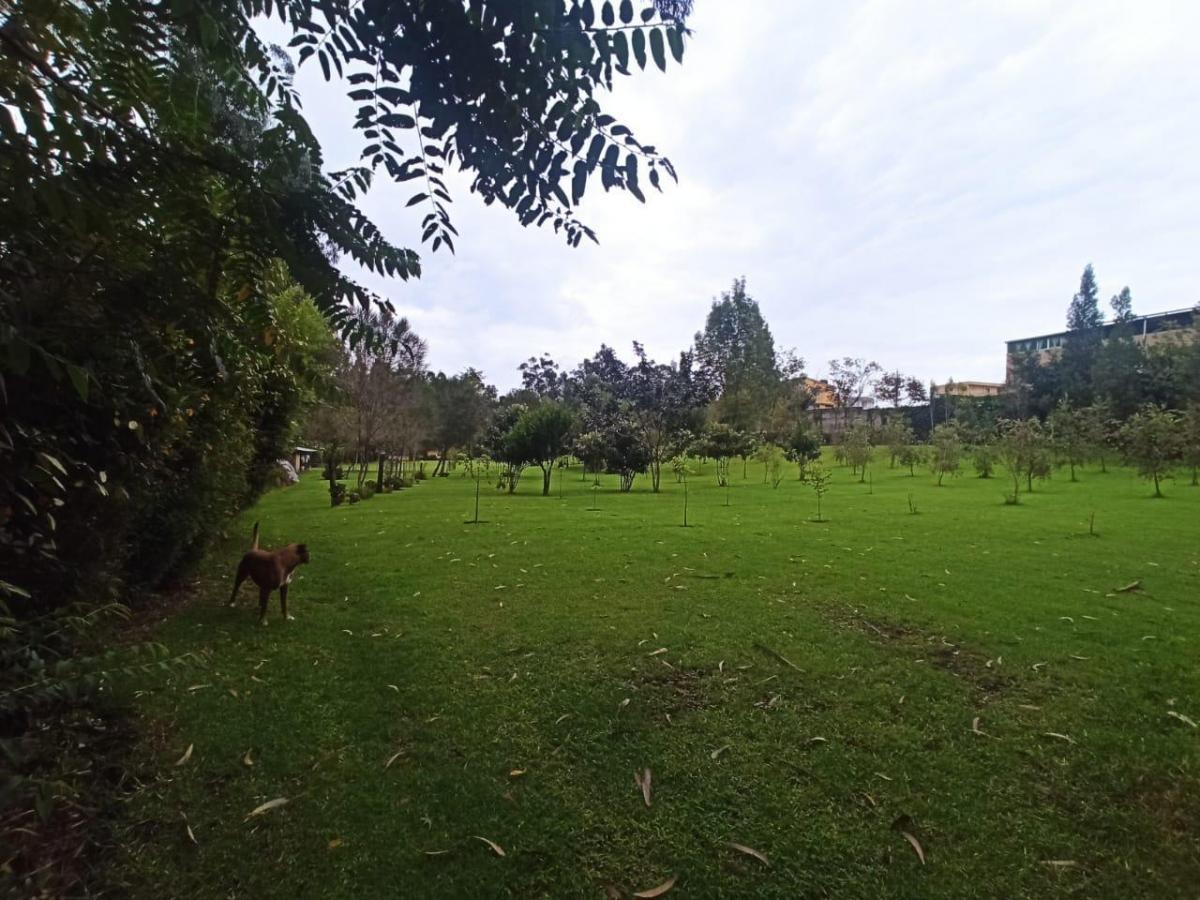 Espectacular Terreno de Casi 1.5 Has en Pleno Sangolquí — imagen 9