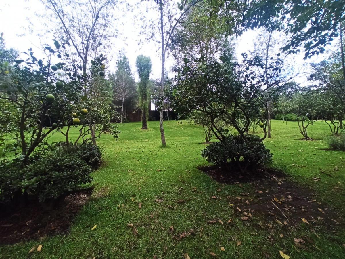 Espectacular Terreno de Casi 1.5 Has en Pleno Sangolquí — imagen 7