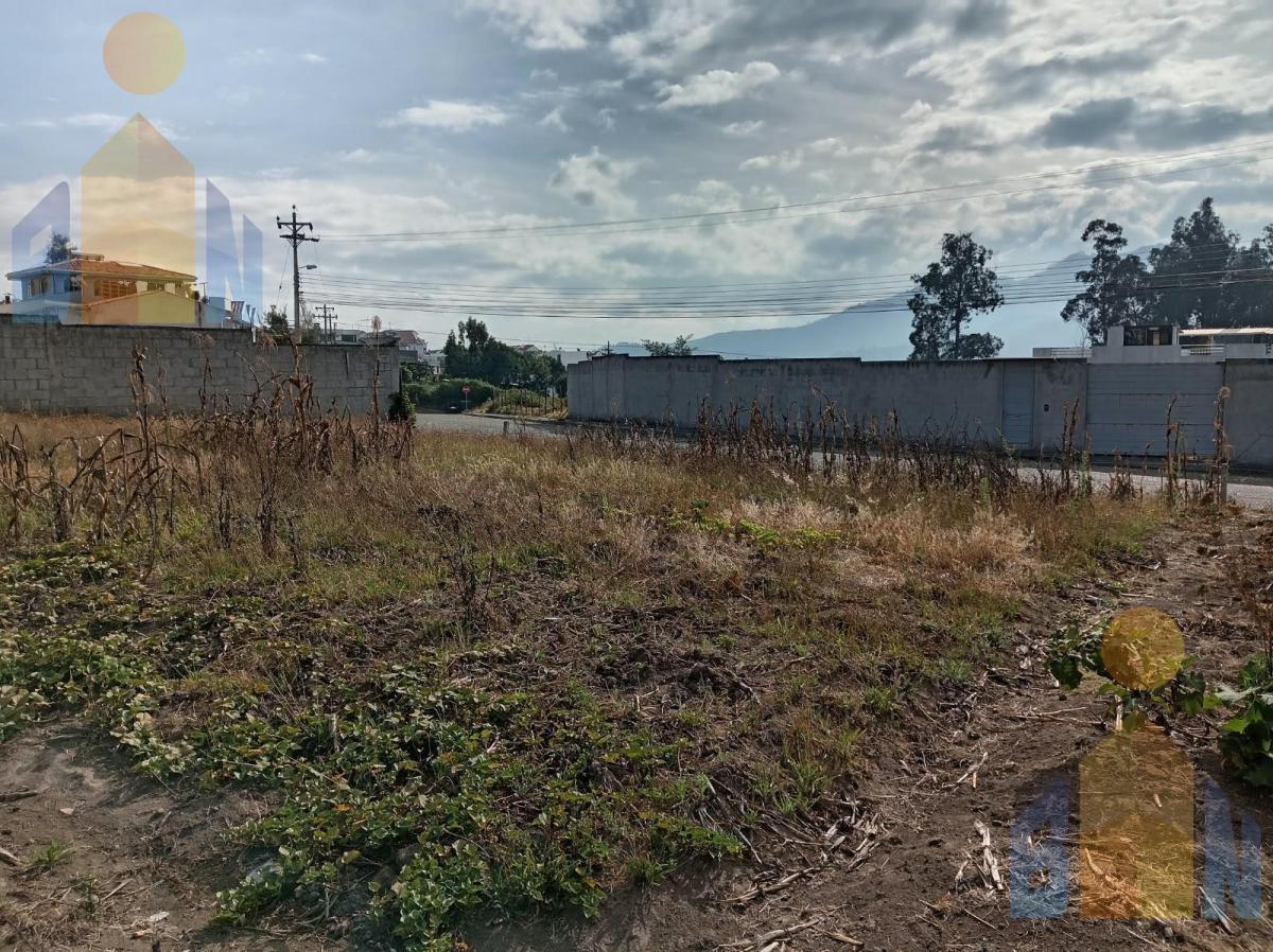Terreno en La Armenia — imagen 7