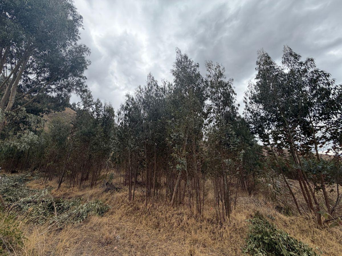 ¡Terreno en Venta en Guachalá – Cayambe! — imagen 9