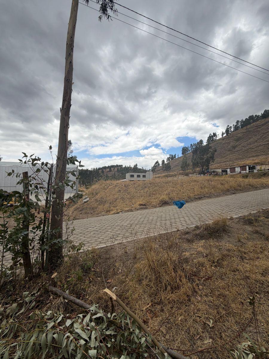 ¡Terreno en Venta en Guachalá – Cayambe! — imagen 8