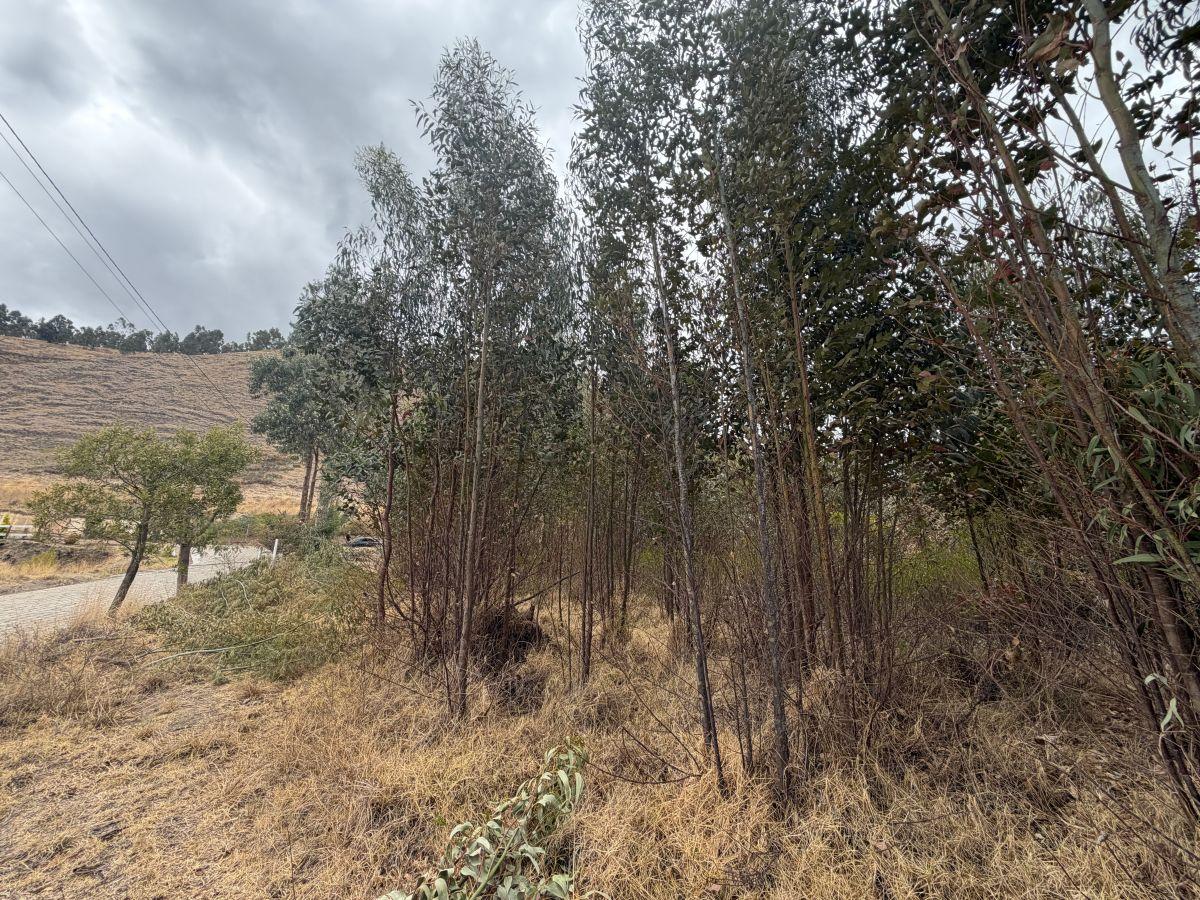 ¡Terreno en Venta en Guachalá – Cayambe! — imagen 7