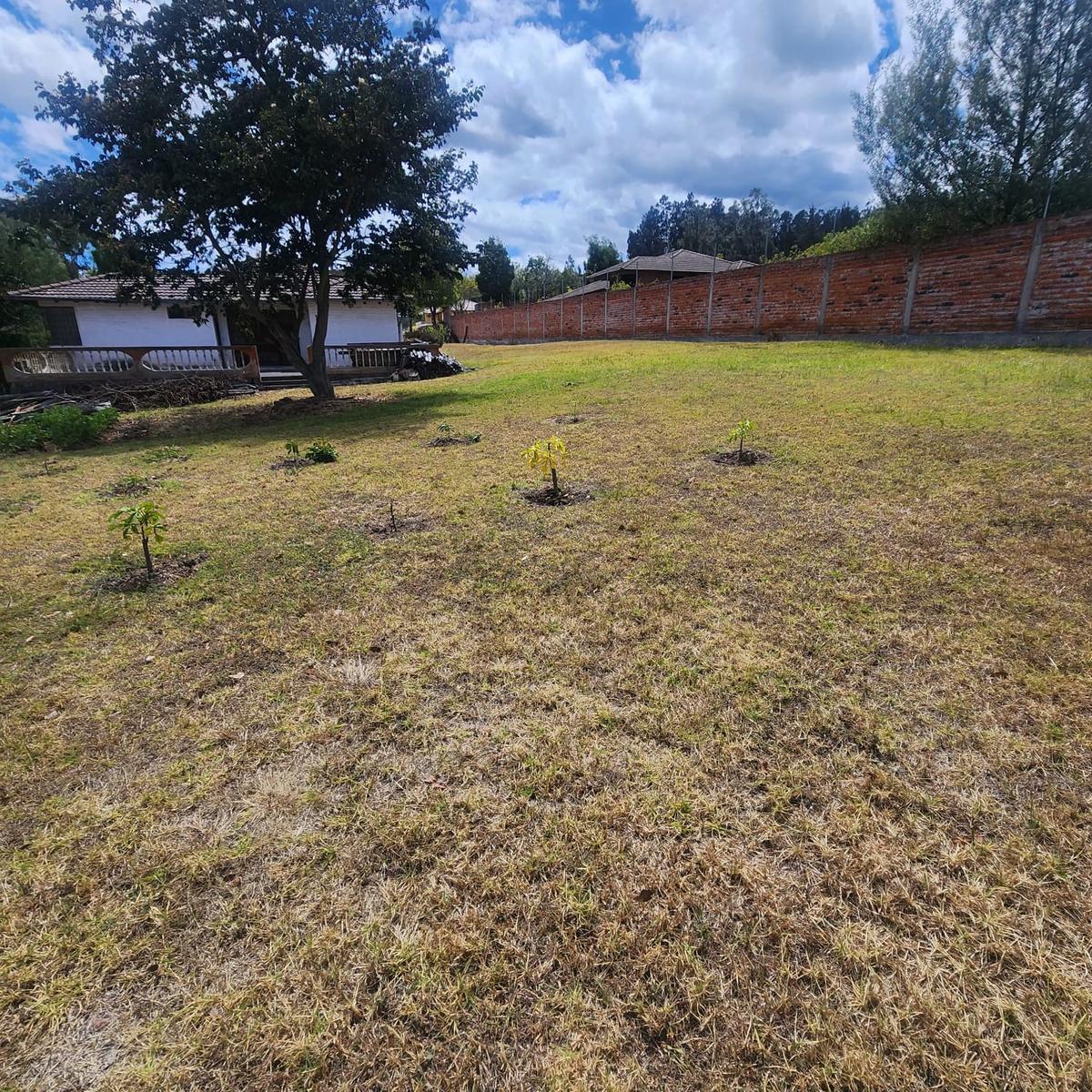 Vendo Terreno con Casa Una Sola Planta en Pifo — imagen 7