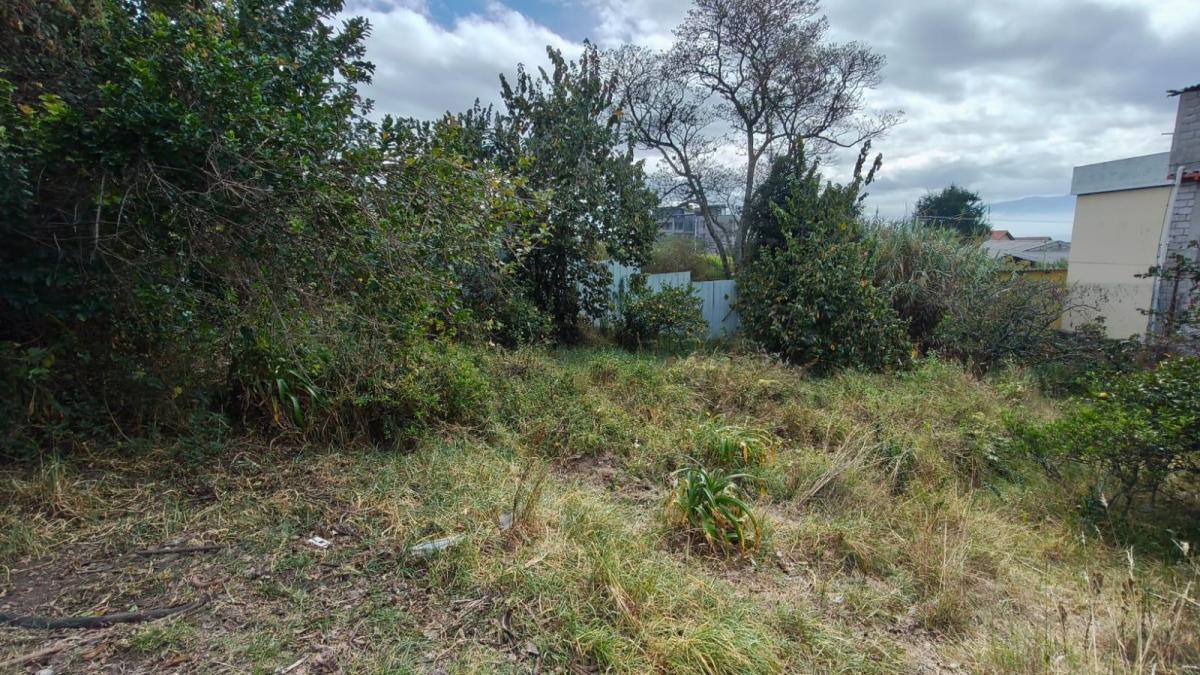 Terreno en San Juan de Cumbayá — imagen 10