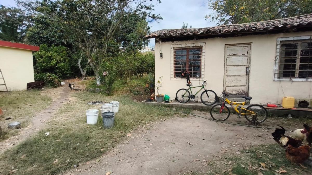 Terreno en San Juan de Cumbayá — imagen 8