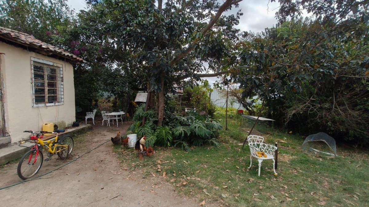 Terreno en San Juan de Cumbayá — imagen 7