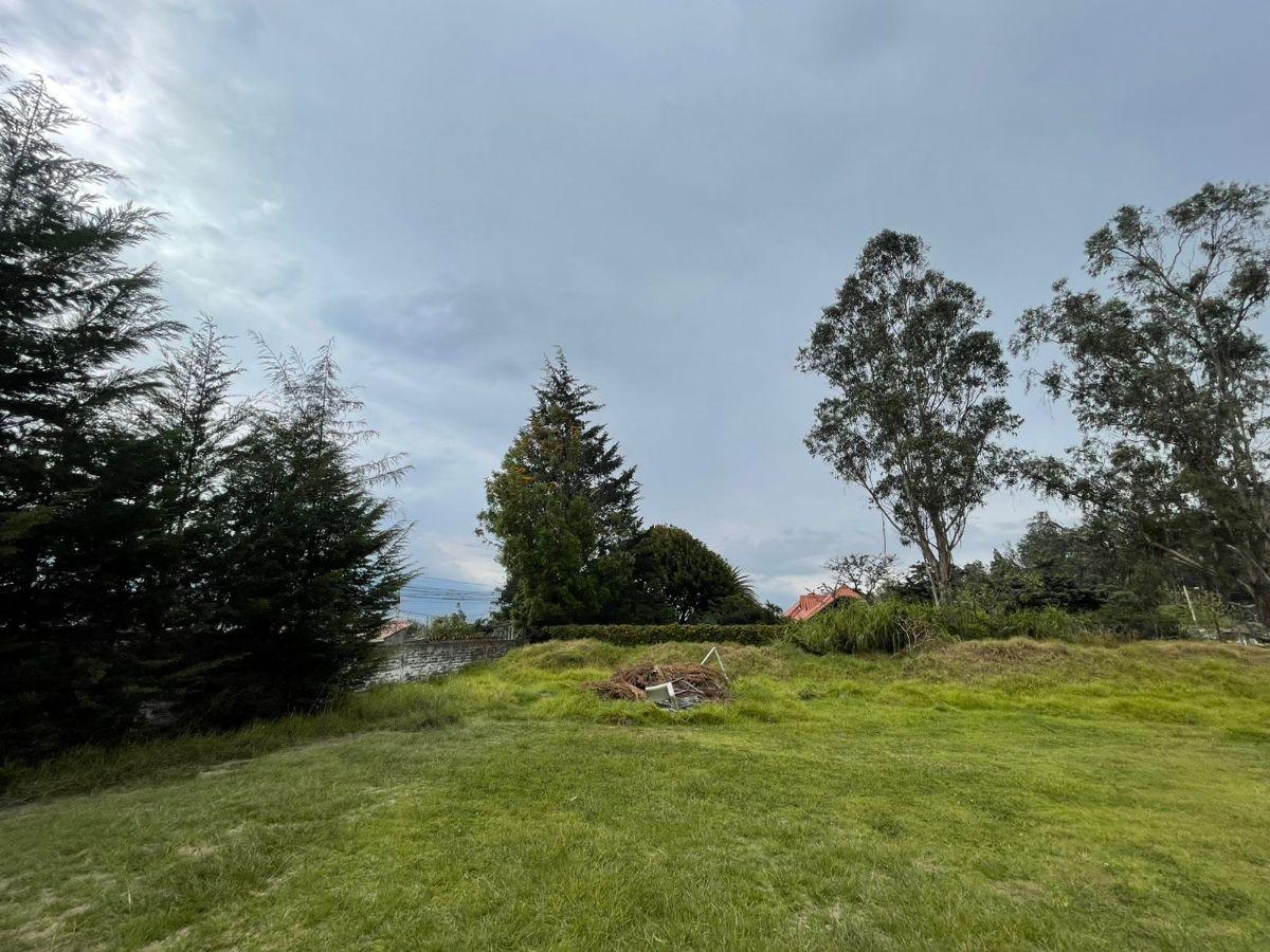 Terreno de 1881 m² en Venta en Puembo con Áreas Verdes — imagen 10