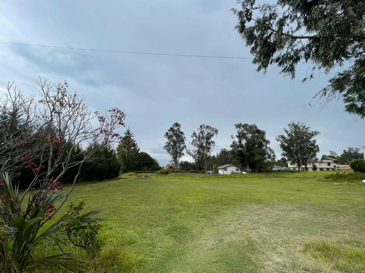 Terreno de 1881 m² en Venta en Puembo con Áreas Verdes — imagen 8