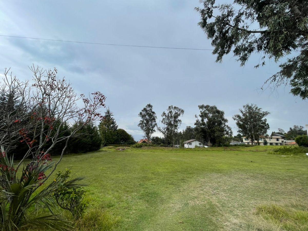 Terreno de 1881 m² en Venta en Puembo con Áreas Verdes — imagen 7