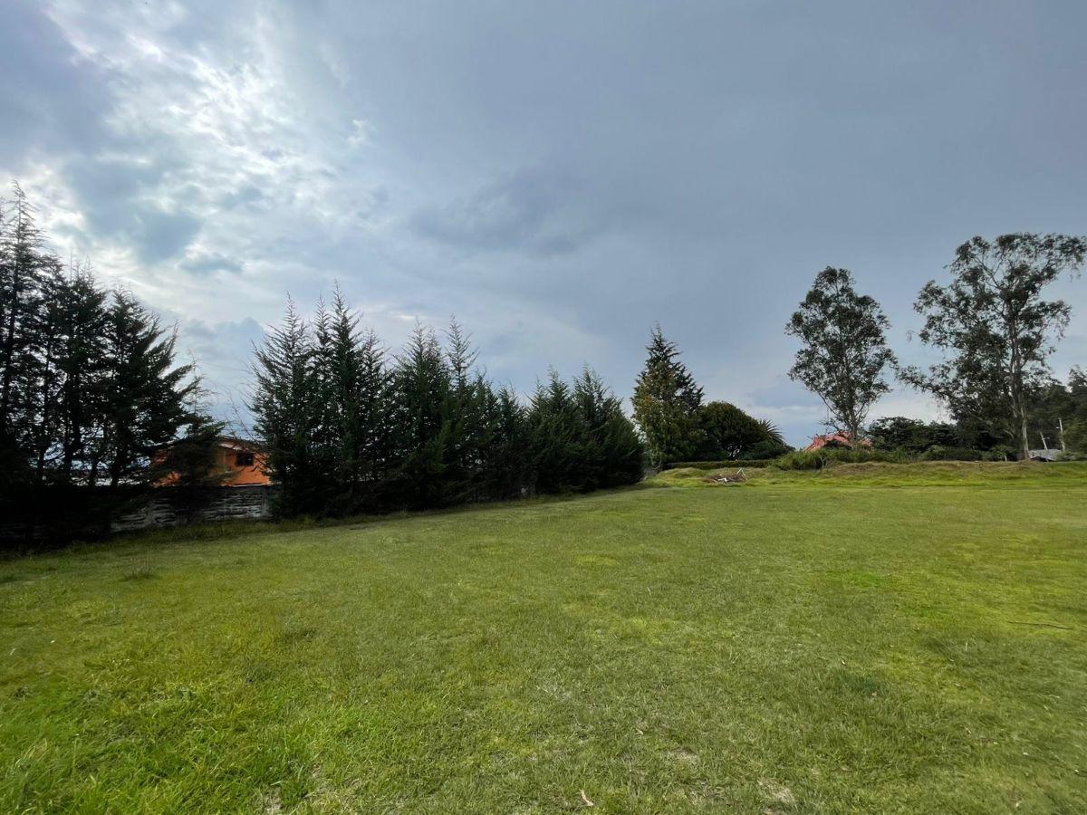 Terreno de 1881 m² en Venta en Puembo con Áreas Verdes — imagen 6