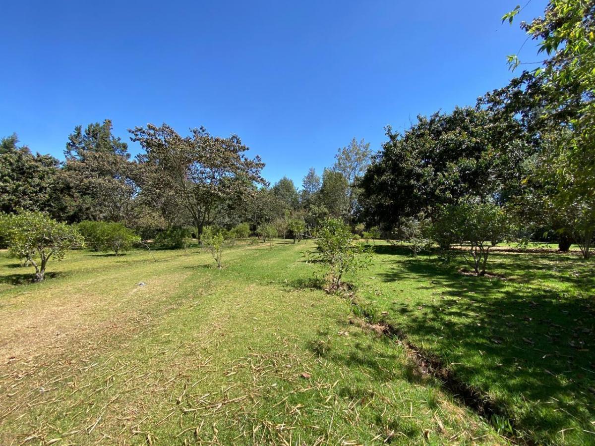 Terreno de Venta en Puembo — imagen 10