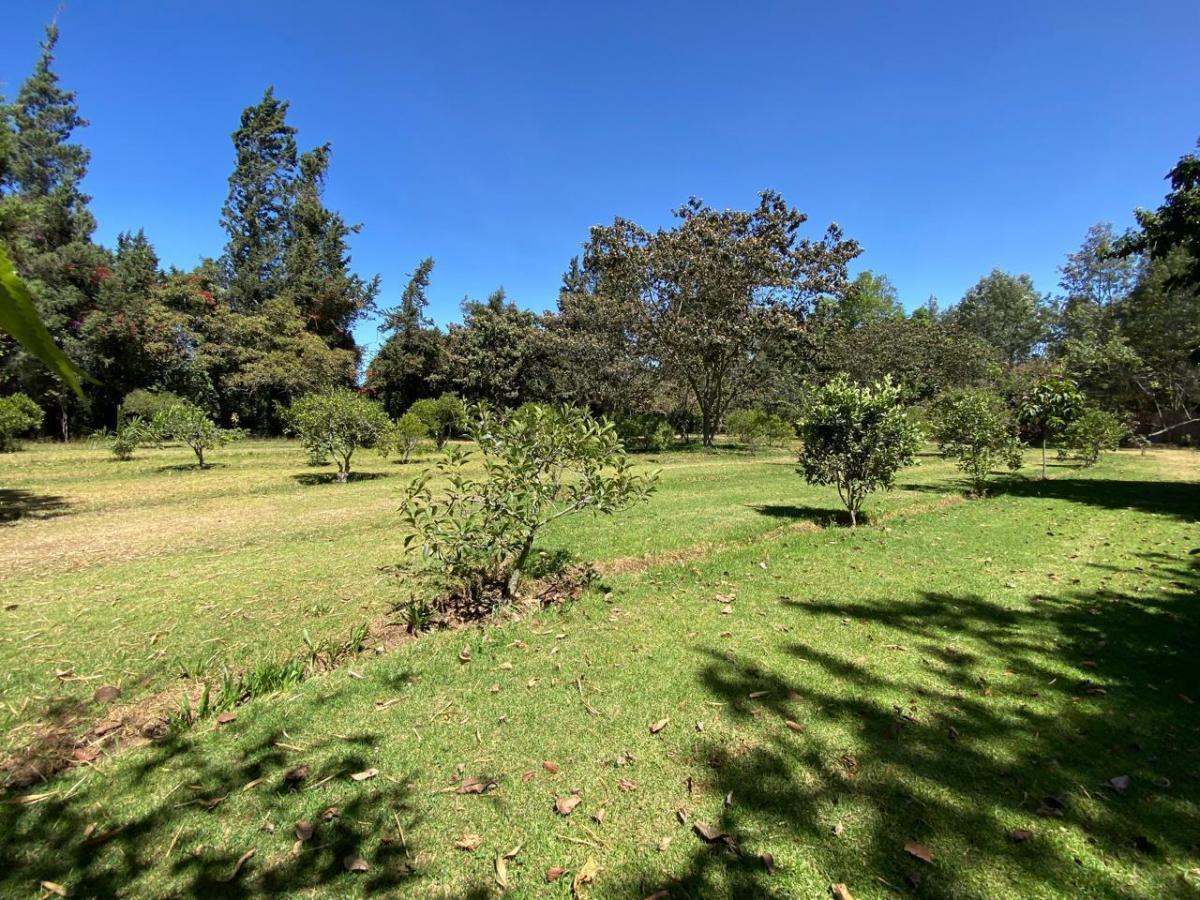 Terreno de Venta en Puembo — imagen 8
