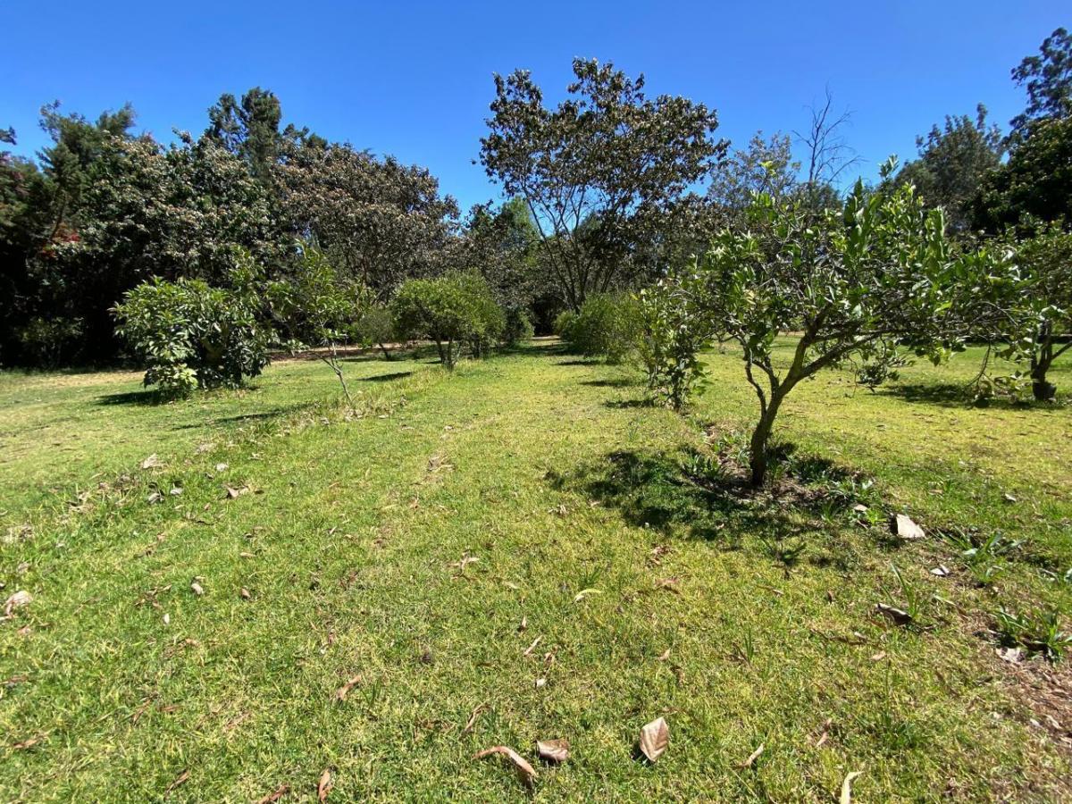 Terreno de Venta en Puembo — imagen 4