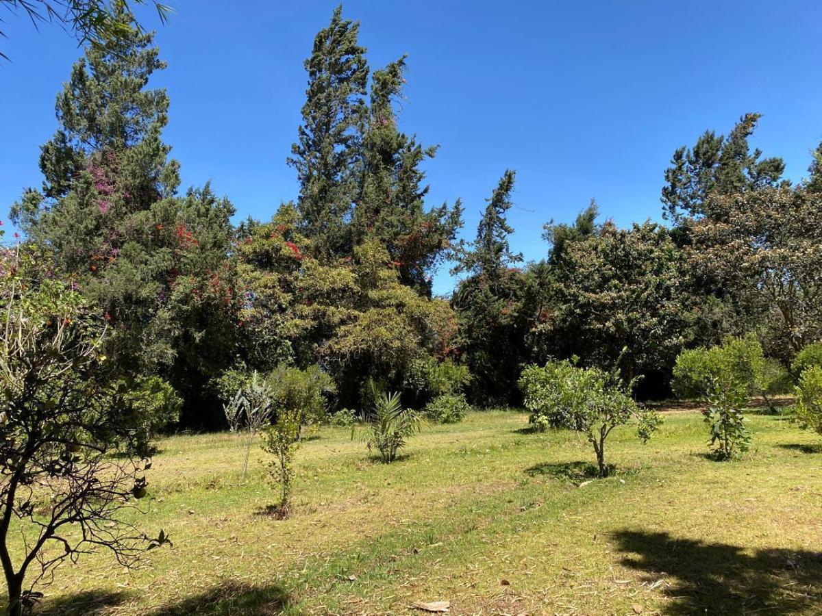 Terreno de Venta en Puembo — imagen 3
