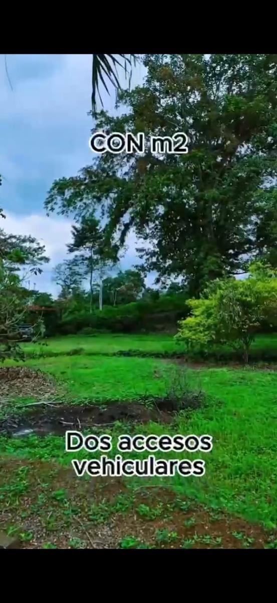 Terreno en Puerto Quito — imagen 7