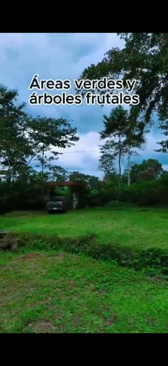 Terreno en Puerto Quito — imagen 6