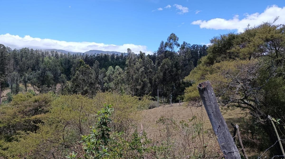 Terreno - Lote 3,747 m² Valle de Los Chillos — imagen 7