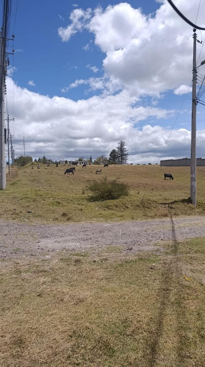 Terreno - Lote 3,747 m² Valle de Los Chillos — imagen 5