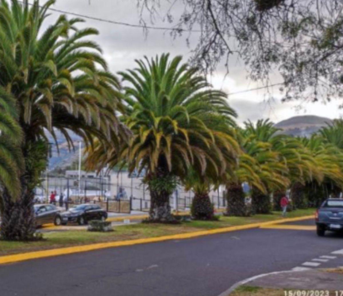 Venta Terreno 664 m² Urbanización El Condado — imagen 6