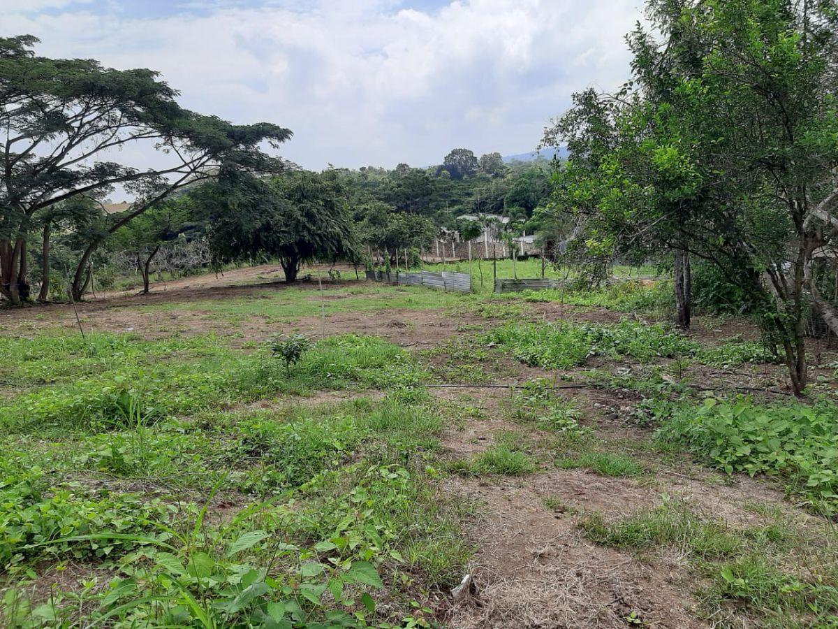 Casa y Terreno de 800 m en Venta Lotizacion Tiffany I Km 22 Via a La Costa, Guayas — imagen 9