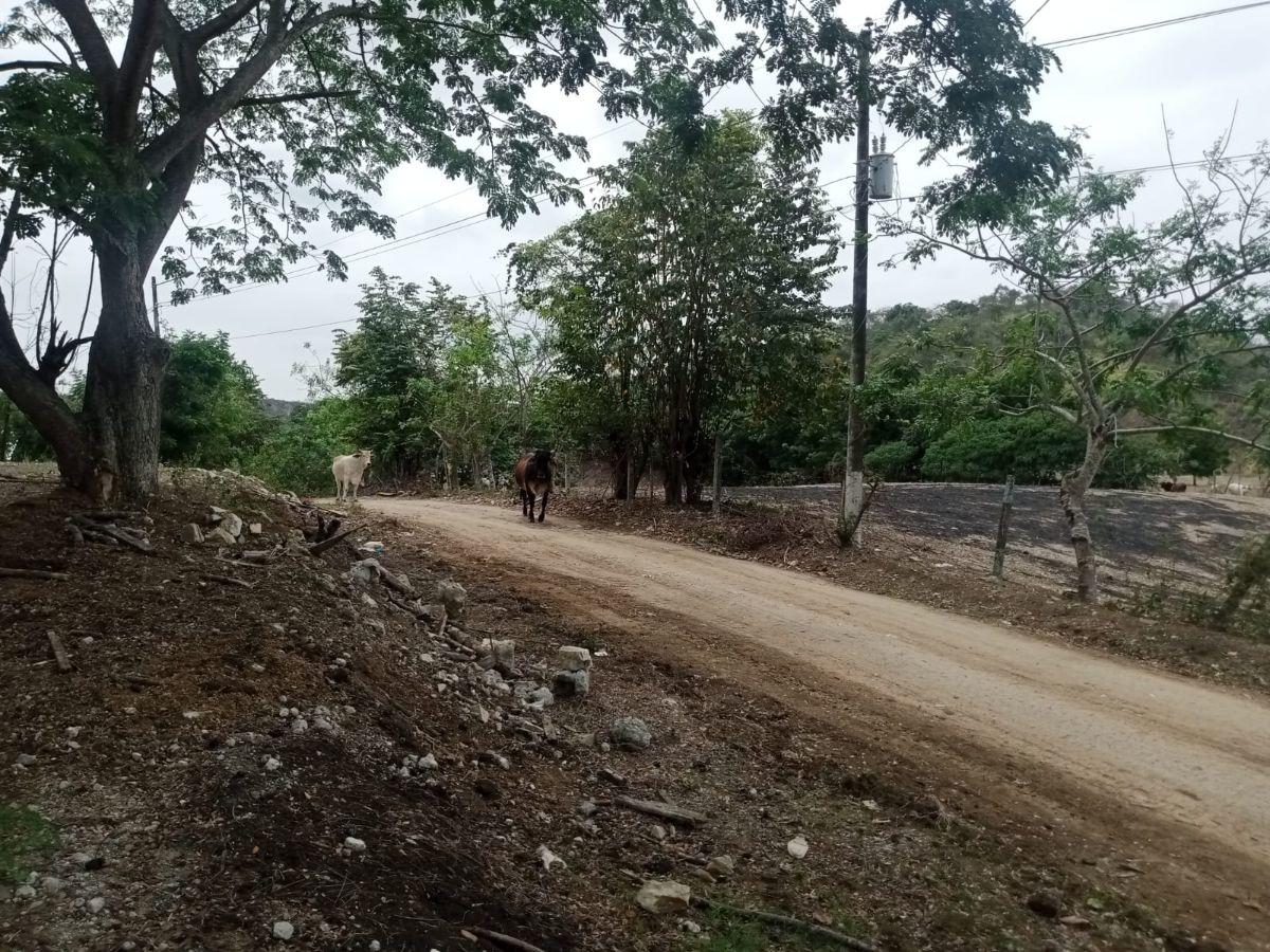 Casa y Terreno de 800 m en Venta Lotizacion Tiffany I Km 22 Via a La Costa, Guayas — imagen 7
