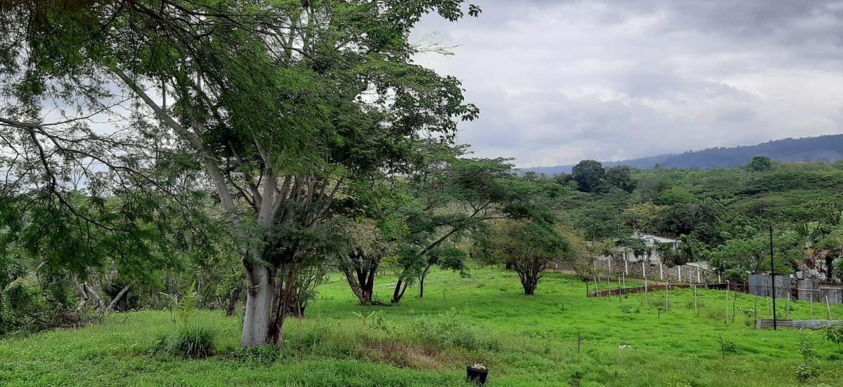 Casa y Terreno de 800 m en Venta Lotizacion Tiffany I Km 22 Via a La Costa, Guayas — imagen 6