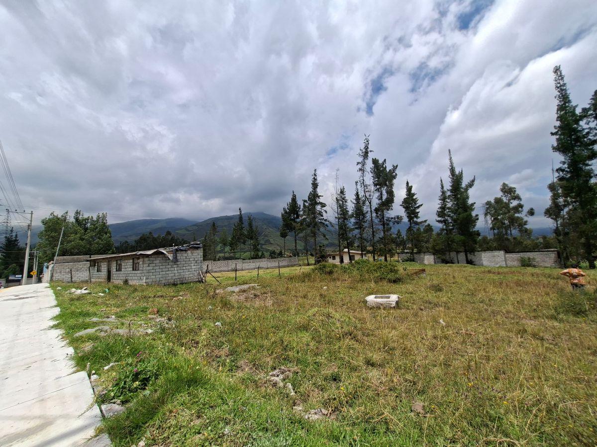 Terreno 1000 m² Pifo El Inga Alto Servicios y Clima de Quinta - $40000 — imagen 8