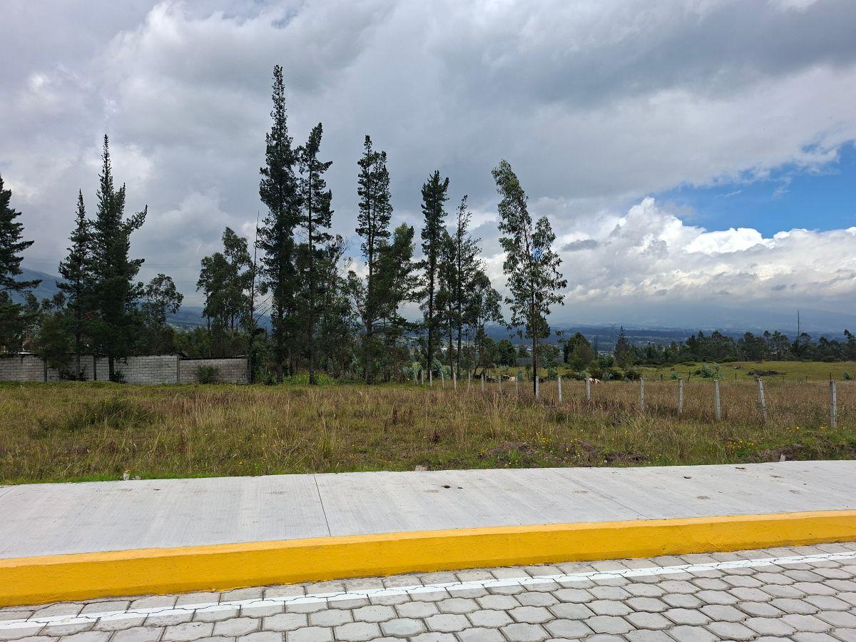 Terreno 1000 m² Pifo El Inga Alto Servicios y Clima de Quinta - $40000 — imagen 7