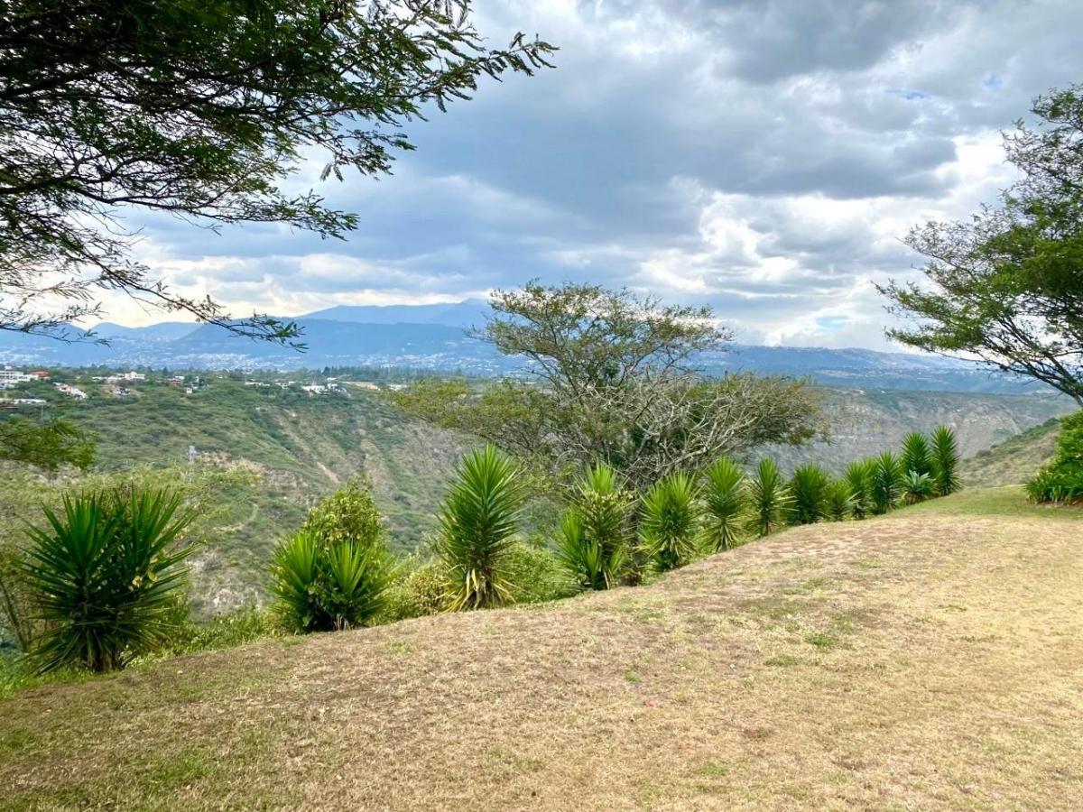 Puembo Sector Arrayanes - Vendo Terrenos Aaa en Urbanización — imagen 8