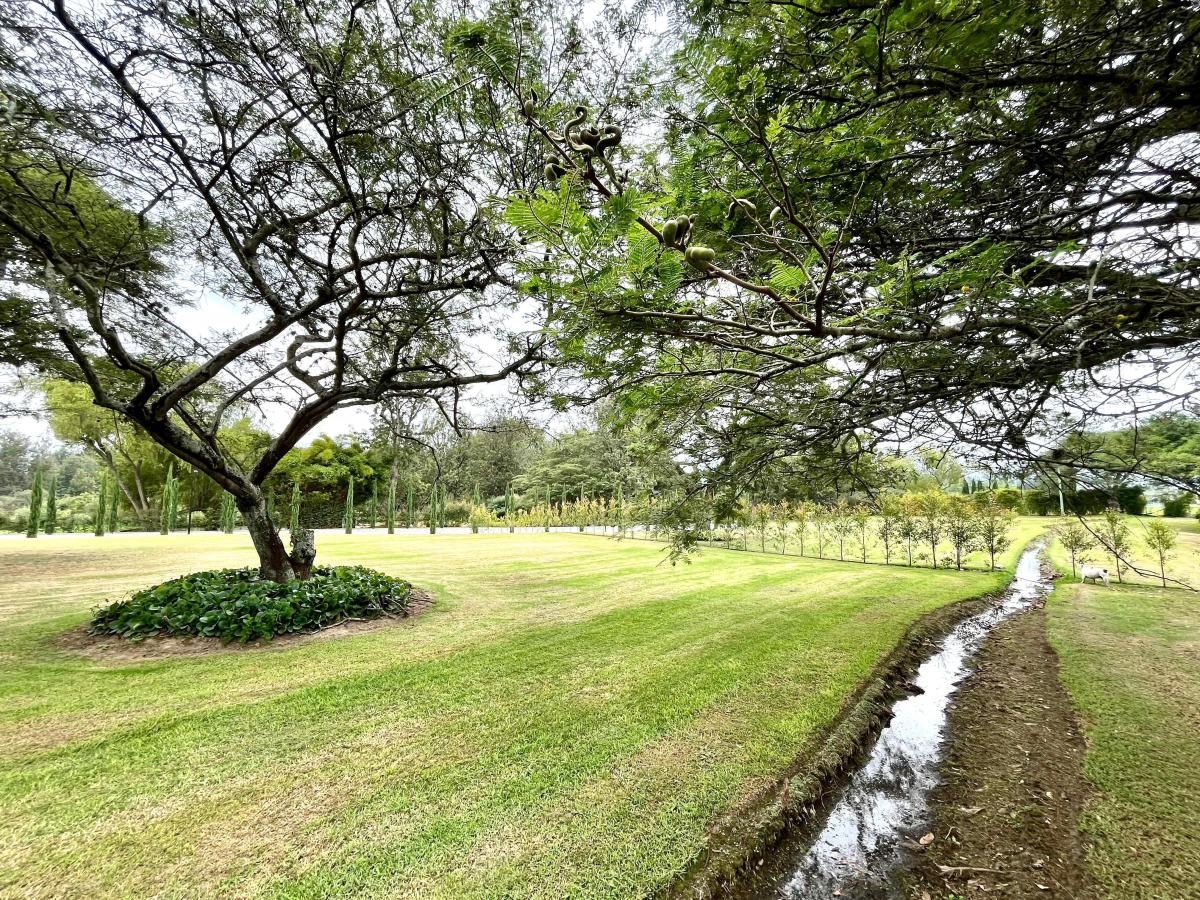Puembo Sector Arrayanes - Vendo Terrenos Aaa en Urbanización — imagen 4