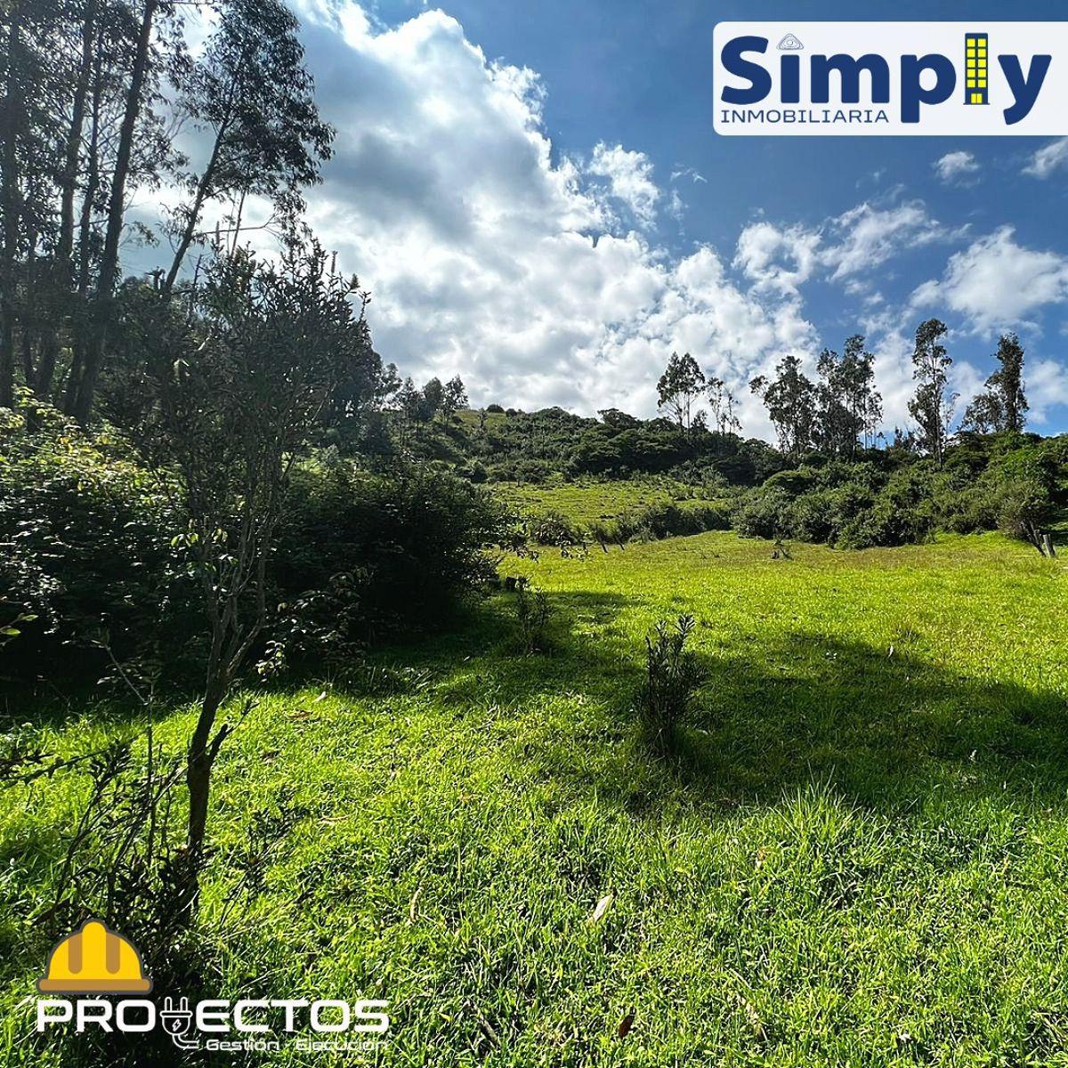 Terreno de 4980 m² en Venta en Alangasí. Provincia de Pichincha — imagen 10