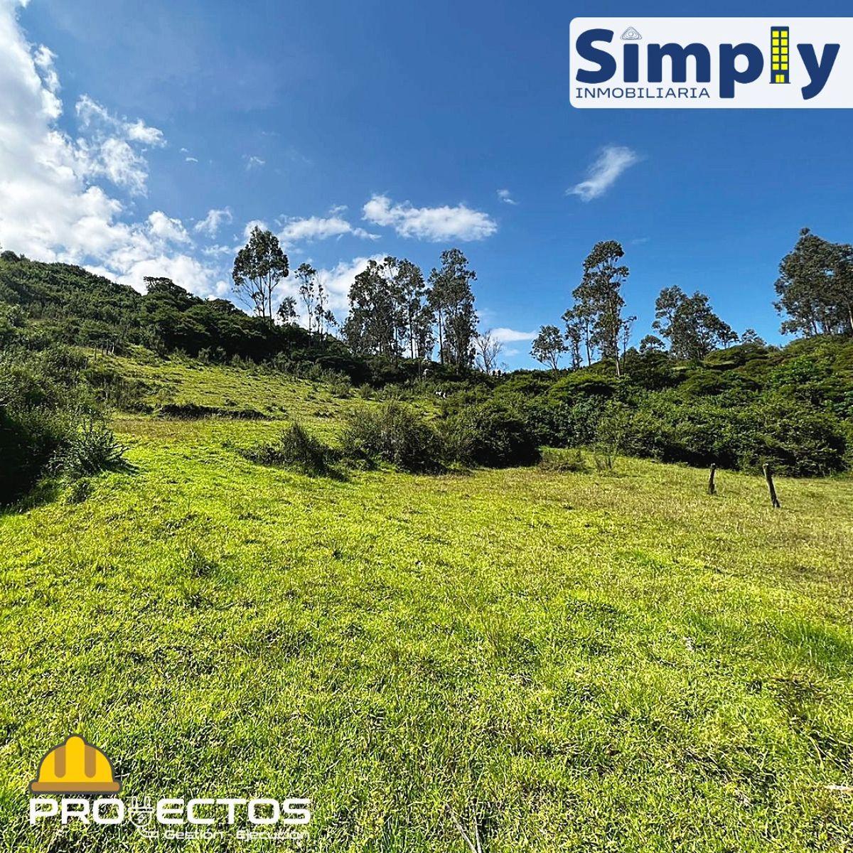 Terreno de 4980 m² en Venta en Alangasí. Provincia de Pichincha — imagen 9