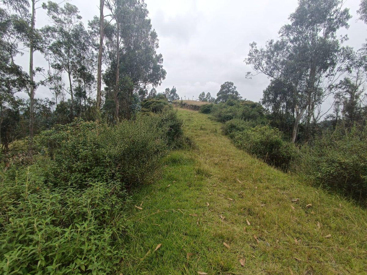 Terreno de 4980 m² en Venta en Alangasí. Provincia de Pichincha — imagen 7