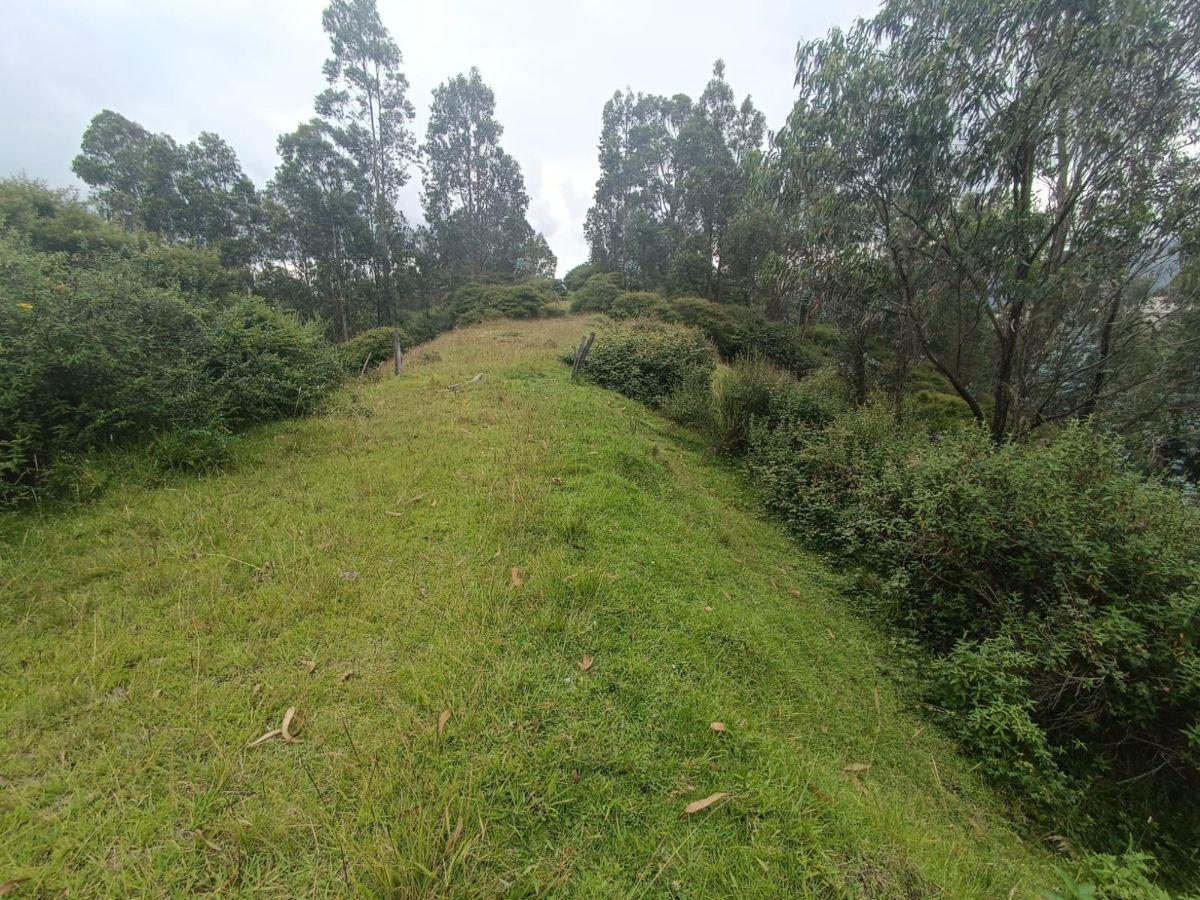 Terreno de 4980 m² en Venta en Alangasí. Provincia de Pichincha — imagen 6