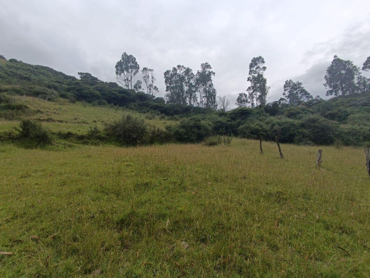 Terreno de 4980 m² en Venta en Alangasí. Provincia de Pichincha — imagen 5