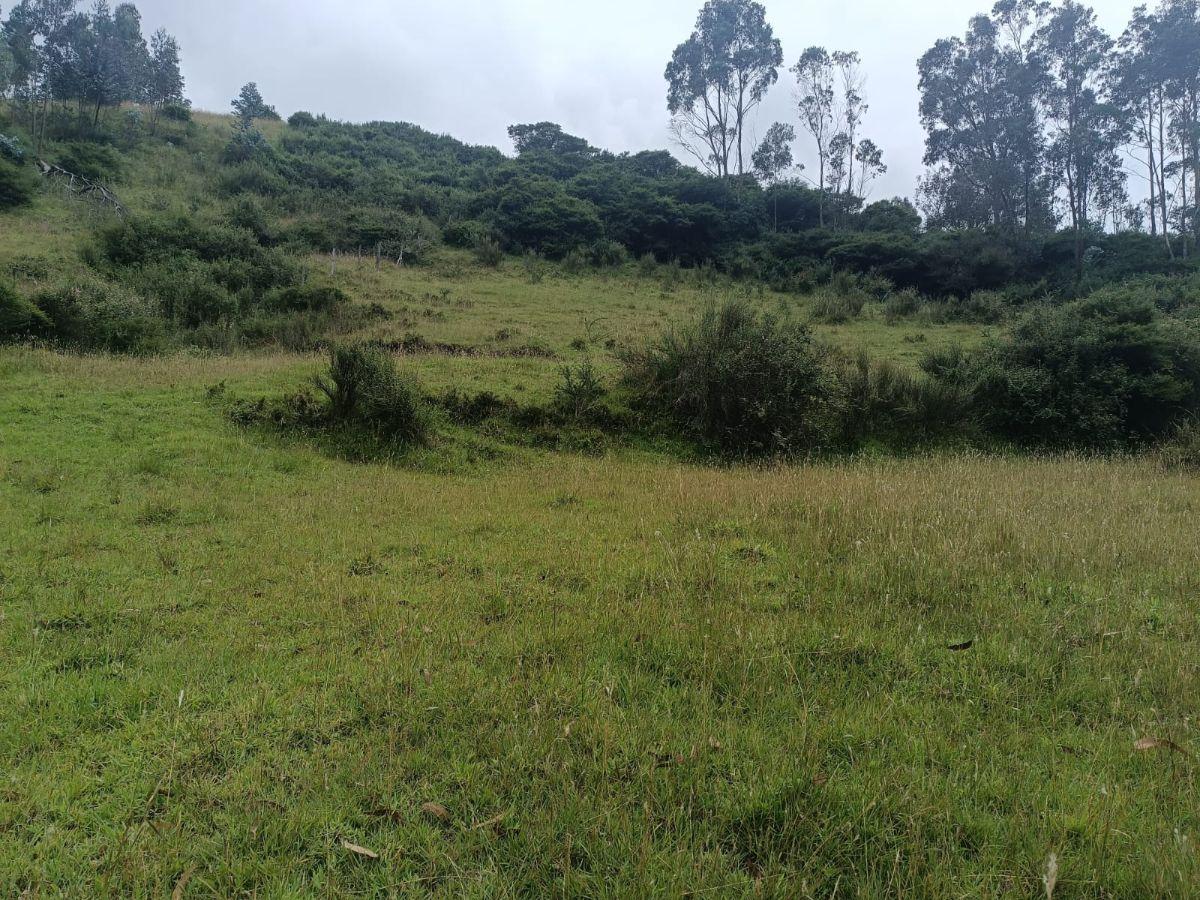 Terreno de 4980 m² en Venta en Alangasí. Provincia de Pichincha — imagen 4
