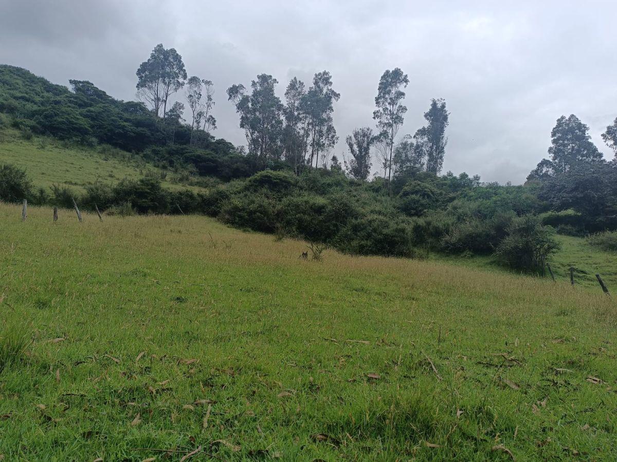 Terreno de 4980 m² en Venta en Alangasí. Provincia de Pichincha — imagen 3