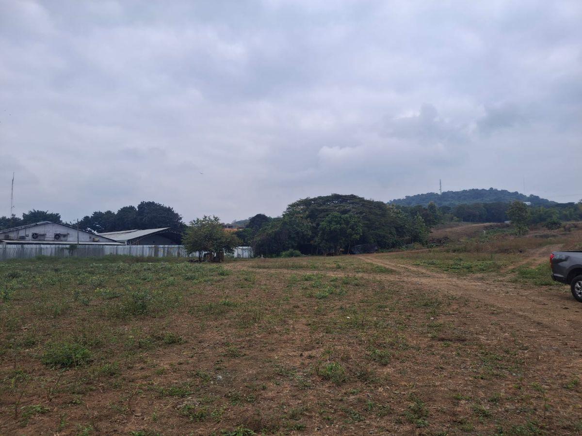 En Venta Terreno Industrial 2,933 m² - Km 23 Vía a Daule | Alto Impacto con Energía Trifásica - N. D, Guayas — imagen 8