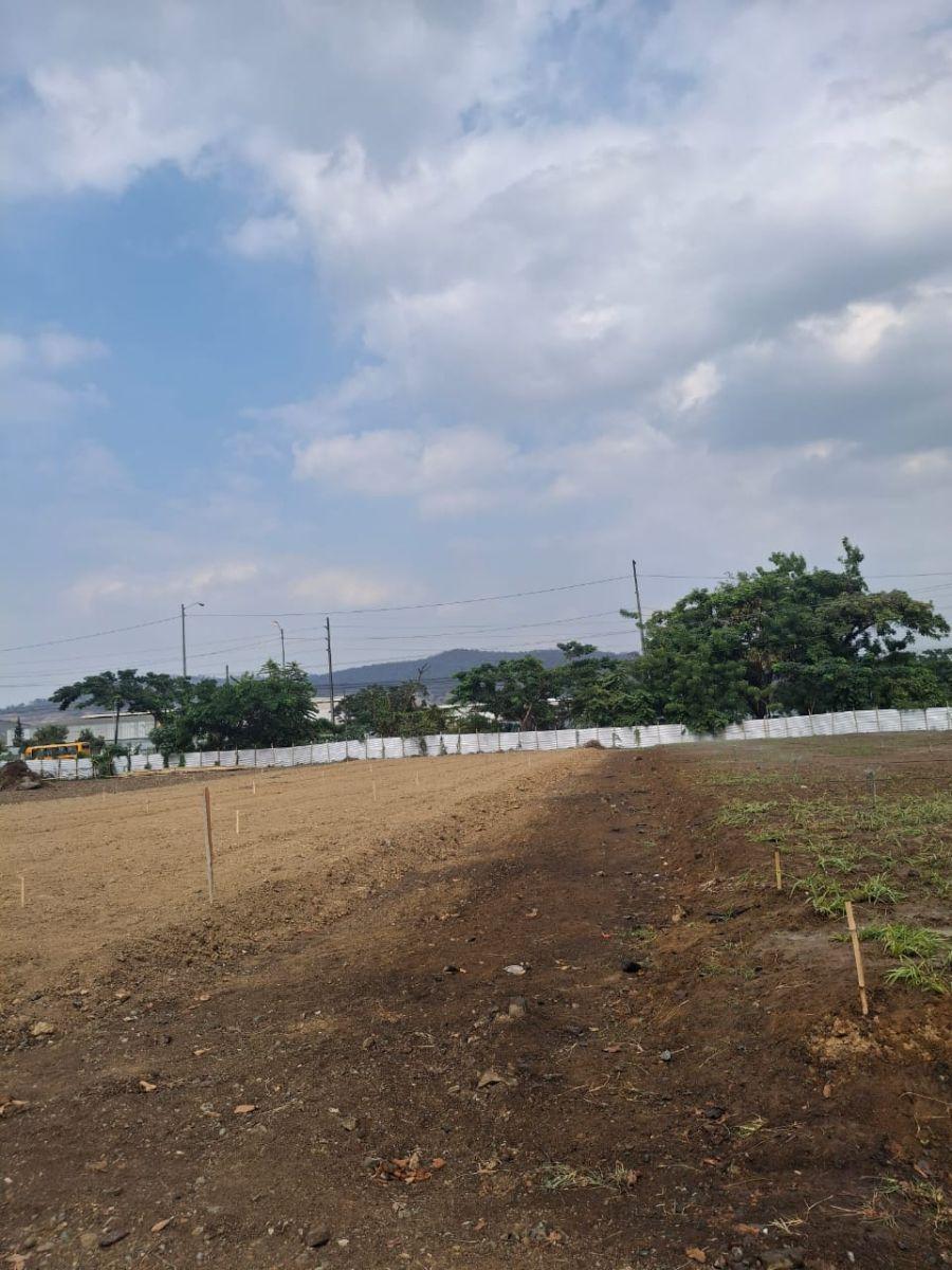 En Venta Terreno Industrial 2,933 m² - Km 23 Vía a Daule | Alto Impacto con Energía Trifásica - N. D, Guayas — imagen 7