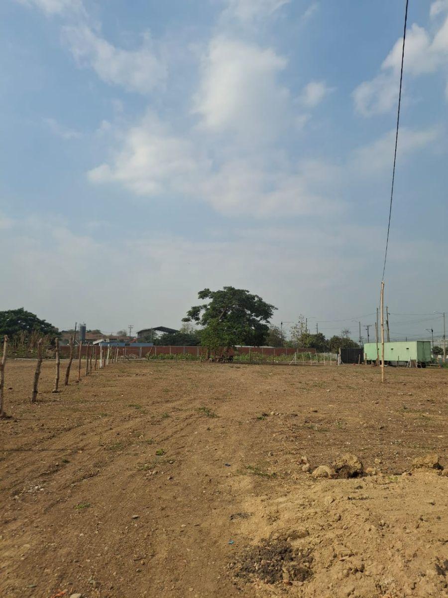 En Venta Terreno Industrial 2,933 m² - Km 23 Vía a Daule | Alto Impacto con Energía Trifásica - N. D, Guayas — imagen 6