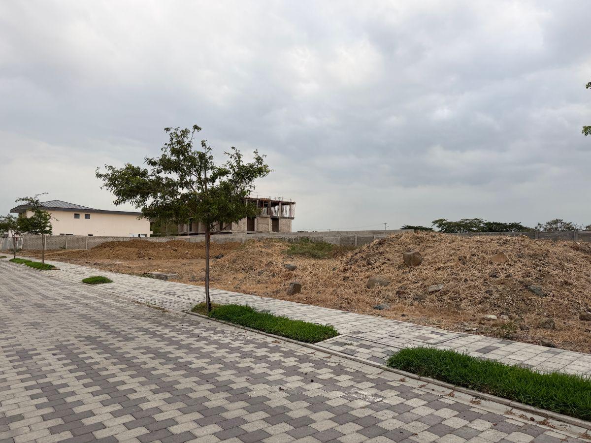En Venta Terreno Exclusivo en Cantabria, Isla Mocoli, Samborondon L. Torres, Guayas — imagen 7