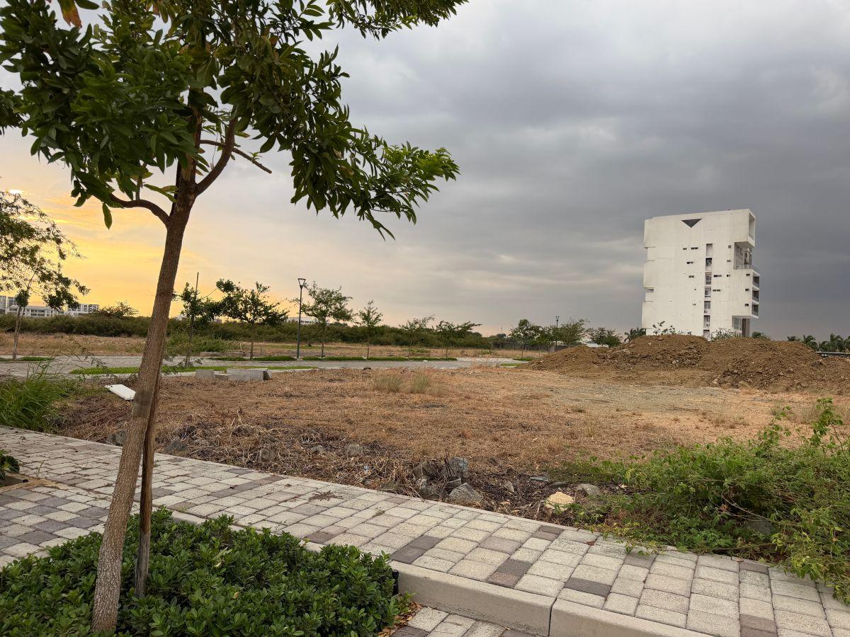 En Venta Terreno Exclusivo en Cantabria, Isla Mocoli, Samborondon L. Torres, Guayas — imagen 6
