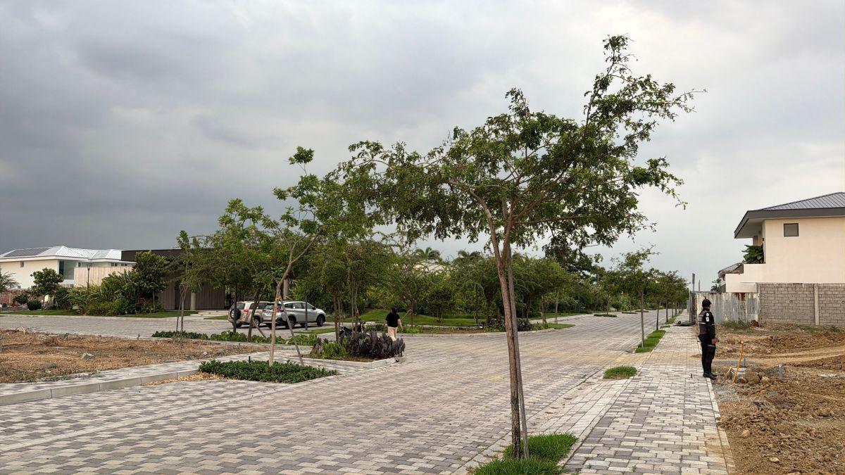 En Venta Terreno Exclusivo en Cantabria, Isla Mocoli, Samborondon L. Torres, Guayas — imagen 4