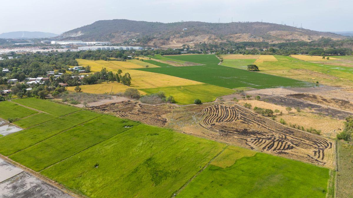 Terreno de m² en Venta en Los Lojas, Guayas — imagen 3