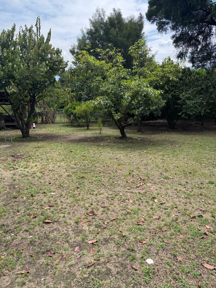 Terreno de 5085 m² en Venta en Tumbaco — imagen 7