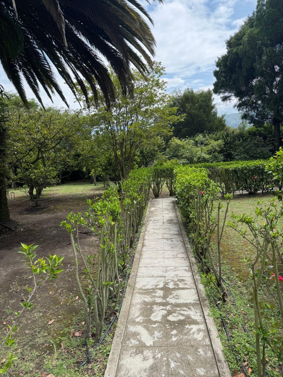 Terreno de 5085 m² en Venta en Tumbaco — imagen 6