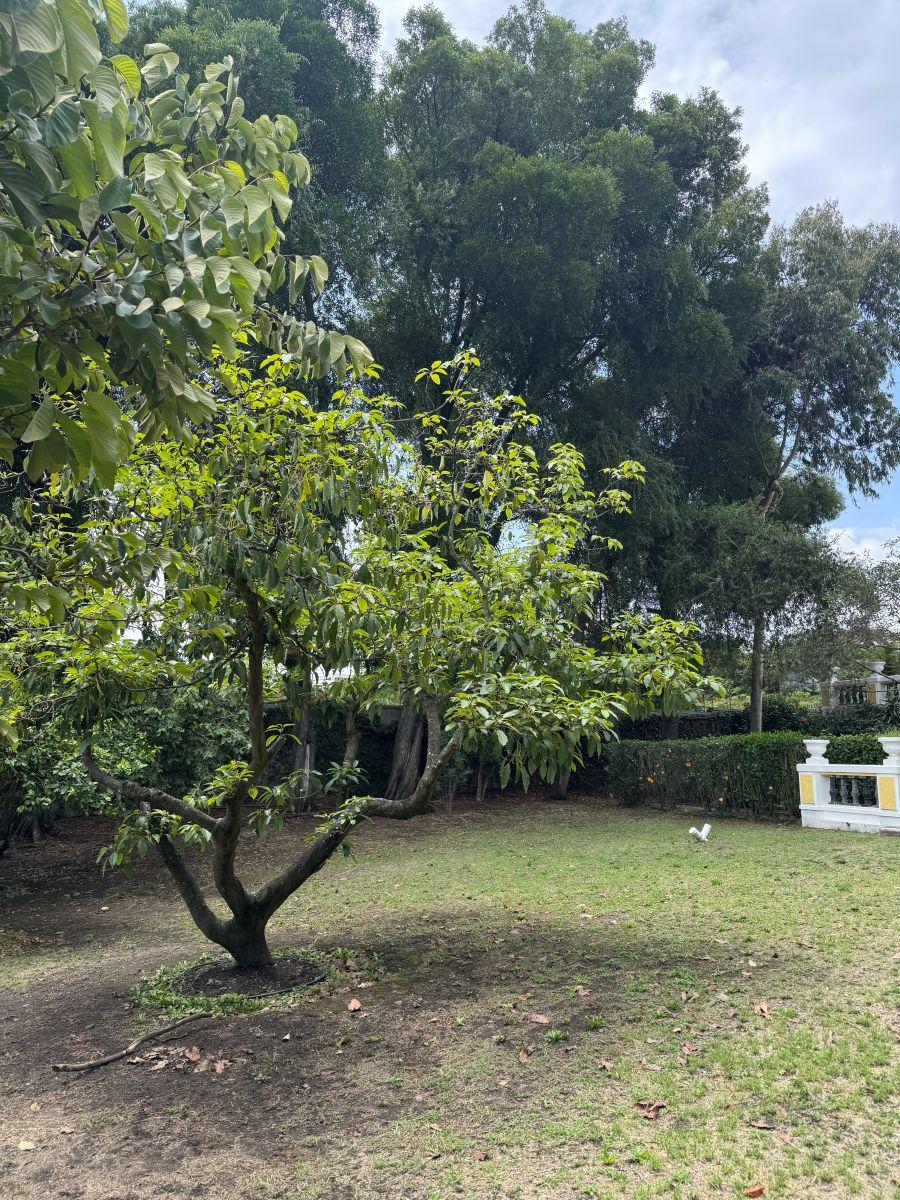 Terreno de 5085 m² en Venta en Tumbaco — imagen 5